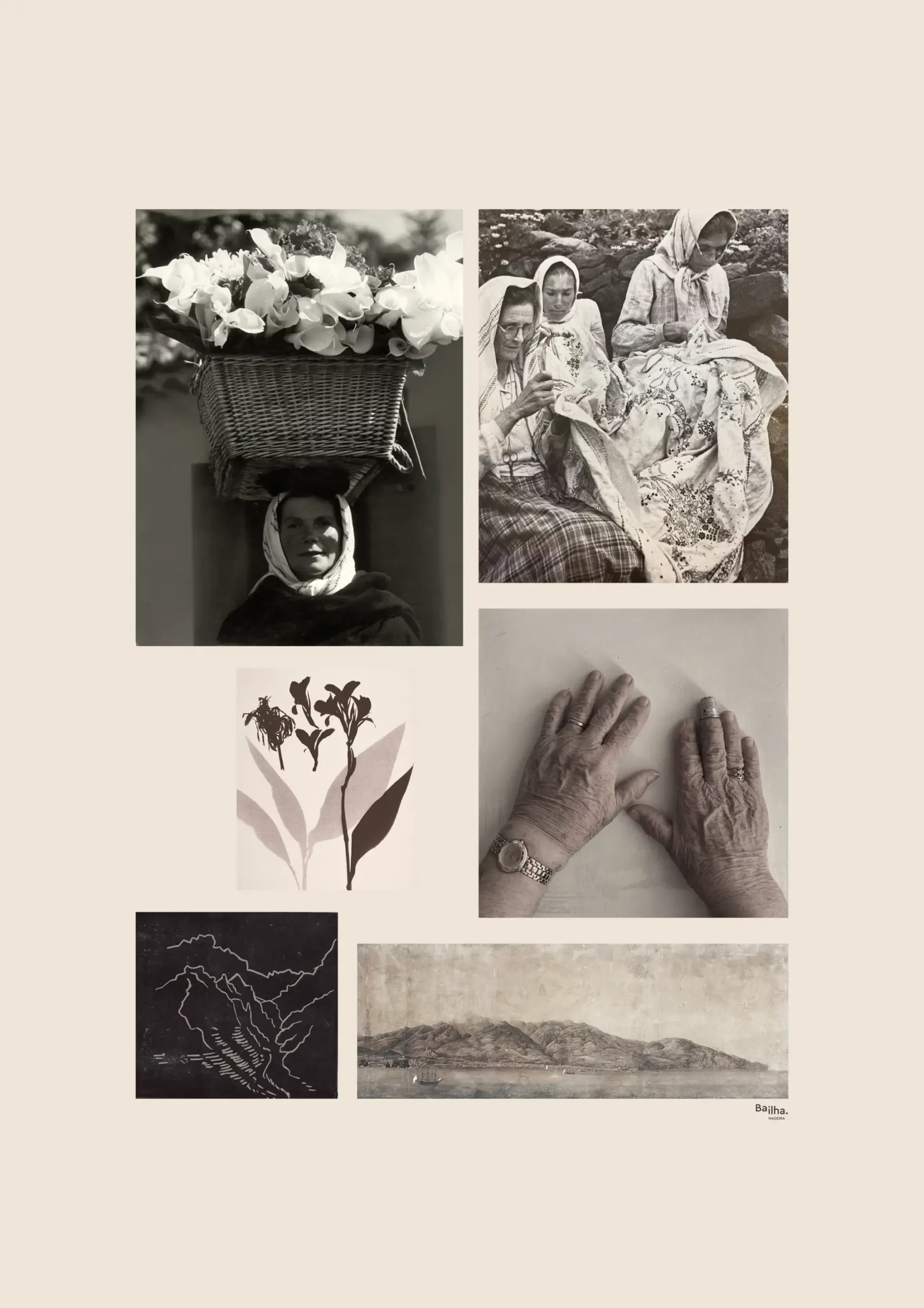 Cultura do Bordado Madeira-bailha